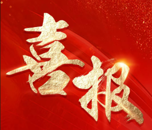 919导电膏获“全国质量信誉奖”